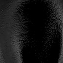 Sir Redman strik zwart leder